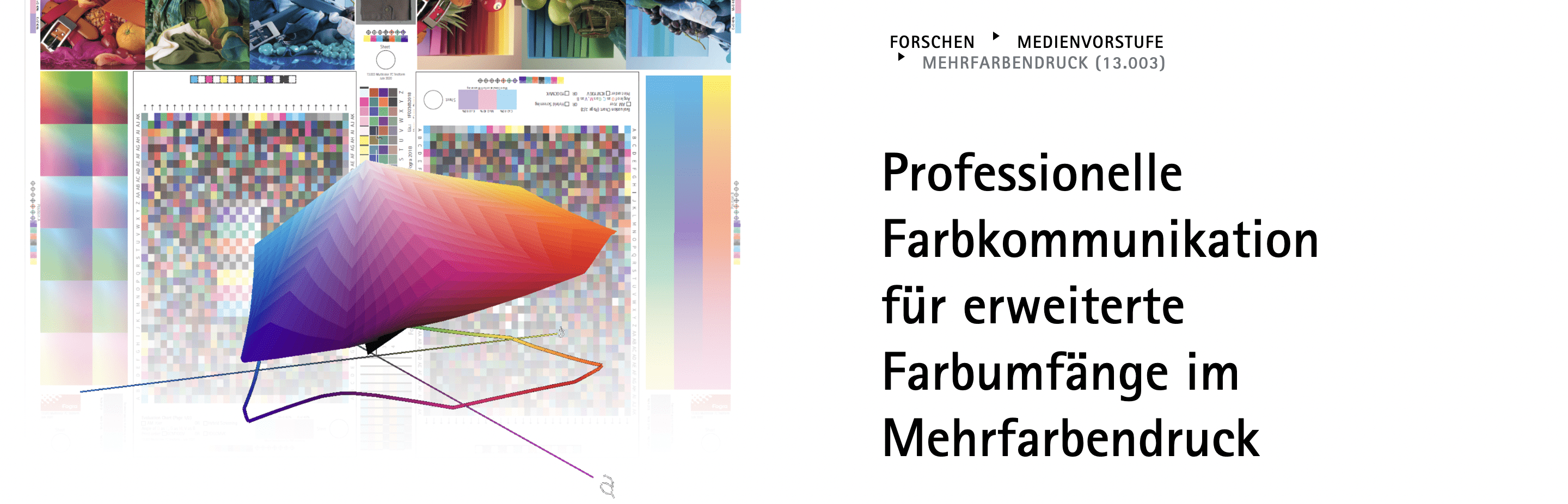 Fogra Artikel Website - Referenz COCO Content Marketing Agentur München