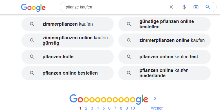 Suchvorschläge am Seitenende von Google zu Pflanze kaufen. Zum Beispiel:  günstige Pflanzen online bestellen